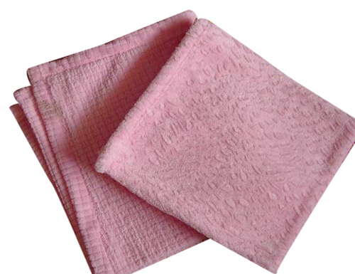 Coral Fleece Blanket (Coral Fleece Blanket)