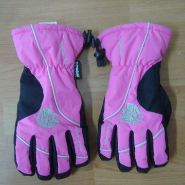  Ski Gloves (Les gants de ski)