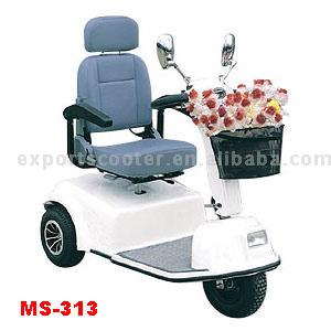  Mobility Scooter (Mobility Scooter)