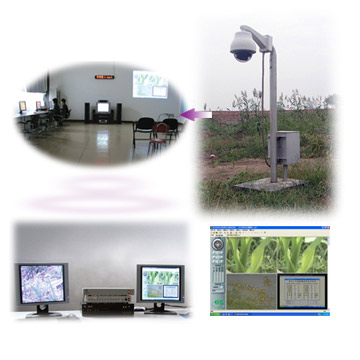  Agro-Forestry, Ecological Remote Real-Time Monitoring