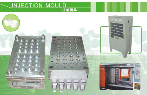  Plastic Closure Mold (Plastic Mold Clôture)