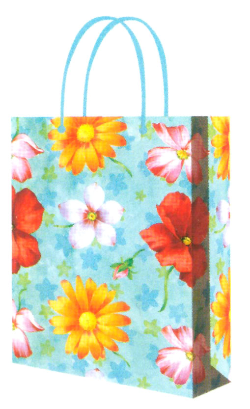  Shopping Bag (Покупки Сумка)