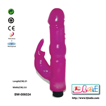  Vibrator (Vibromasseur)