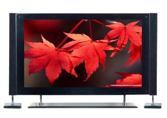  42" Plasma TV (42 "плазменный телевизор)