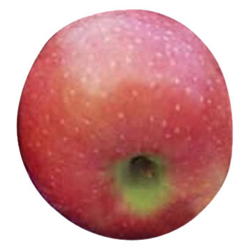  Red Star Apple (Красная звезда Apple)