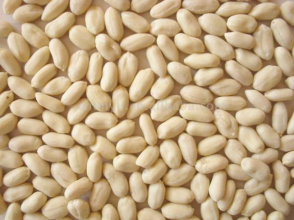  Blanched Peanut (Blanchies d`arachide)