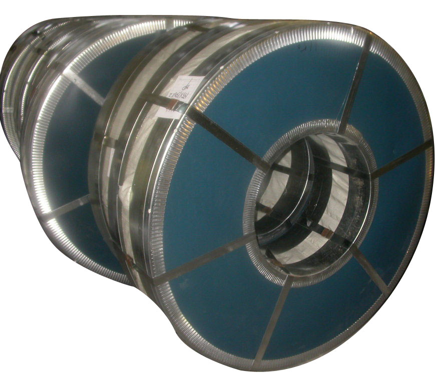  Hot Galvanized Steel Strip (Оцинкованный стальной полосы)