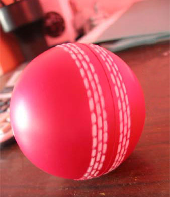  PU Stress Ball ( PU Stress Ball)
