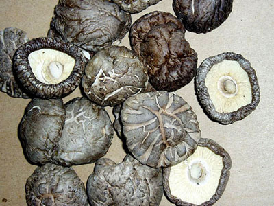 Getrocknete Shiitake-Pilze (Getrocknete Shiitake-Pilze)