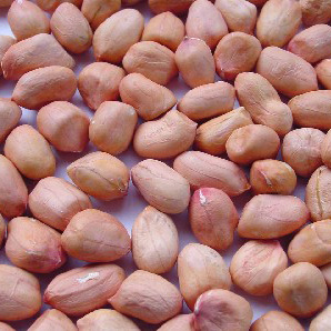  Peanut Round Kernel (Круглые ядра арахиса)