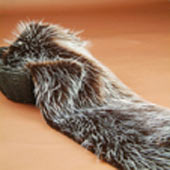  Synthetic Fur Cushion and Throw (Fourrure synthétique Coussin et Throw)