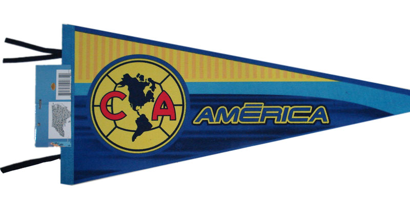  Advertising Flag