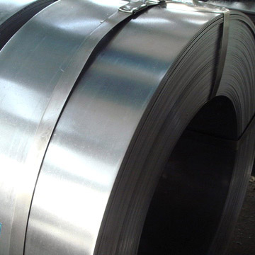  Steel Strip (Feuillard d`acier)