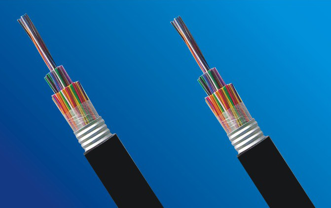  Local Communication Cable (Communication locale par câble)