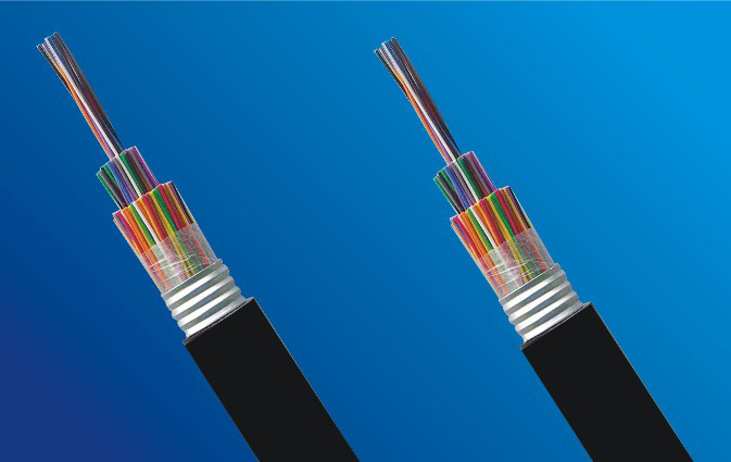  Local Communication Cable ( Local Communication Cable)