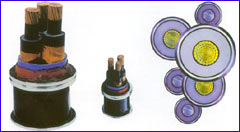  Low Voltage XLPE Insulated Power Cable ( Low Voltage XLPE Insulated Power Cable)