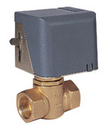  Motorized Valve (Vanne motorisée)