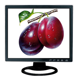  LCD Monitor (Moniteur LCD)