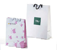 Shopping Bag (Shopping Bag)