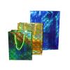 Shopping Bag (Shopping Bag)
