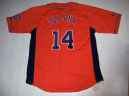  MLB, NFL, NBA Jersey ( MLB, NFL, NBA Jersey)