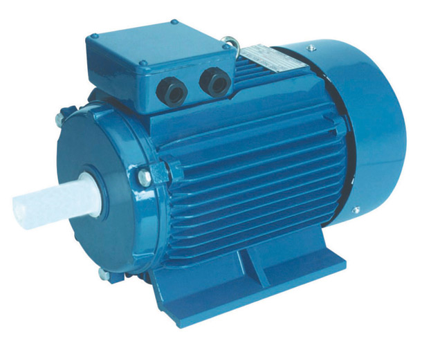  Y2 Series Three-Phase Induction Motor