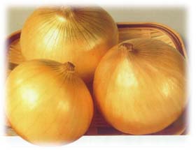 Onion (Onion)