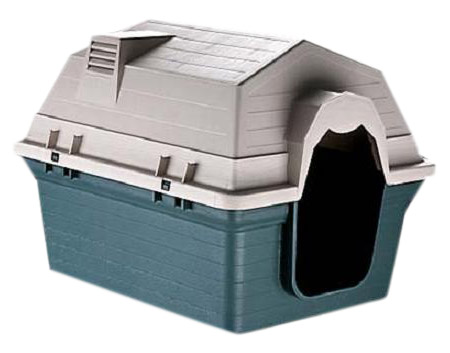 Dog House (Dog House)