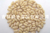  Pine Nut Kernel (Pine Nut Kernel)