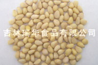  Pine Nut Kernel (Pine Nut Kernel)