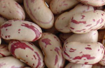  Red Kidney Beans (Красный Фасоль)