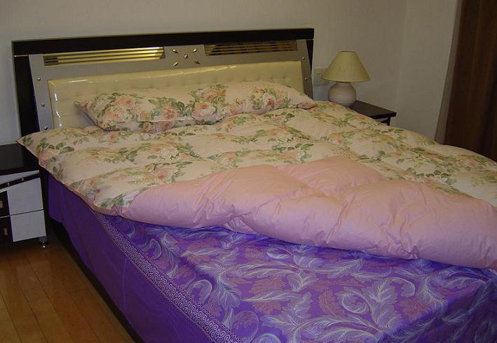  Down Quilt ( Down Quilt)
