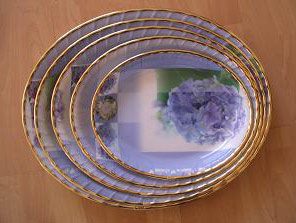  Plastic Oval Trays