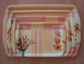  Plastic Tray (Kunststoff-Tablett)