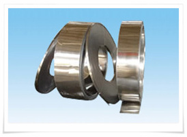  Stainless Steel Strip (Stainless Steel Strip)