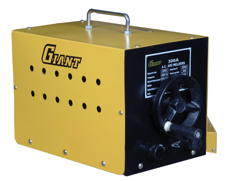  MMA Welder (BX1-300M)