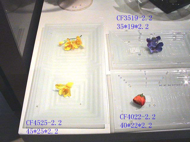  Glass Plate (Glasplatte)