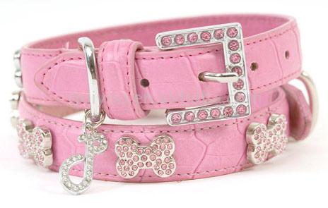  Pet Collar