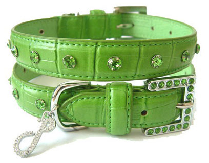  Pet Collar ( Pet Collar)