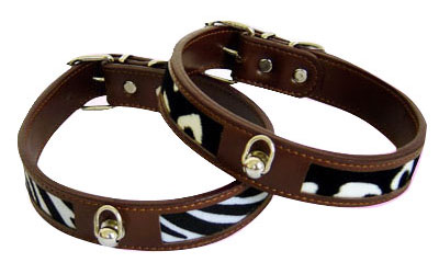  Pet Collar