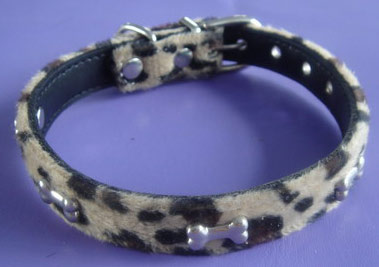  Pet Collar ( Pet Collar)