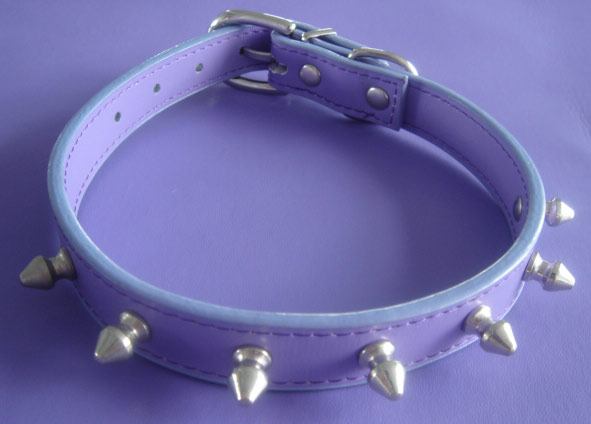  Pet Collar
