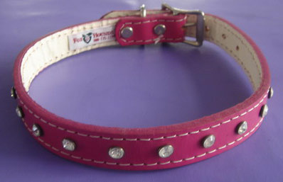  Pet Collar