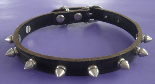  Pet Collar