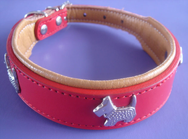  Pet Collar
