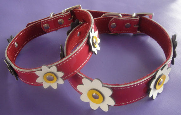  Pet Collar