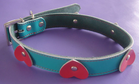  Pet Collar