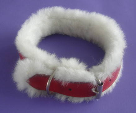  Pet Collar