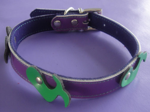  Pet Collar