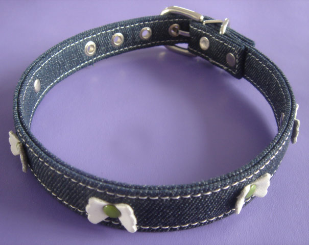  Pet Collar
